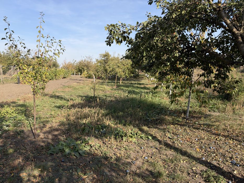 Casa de vanzare 2588mp