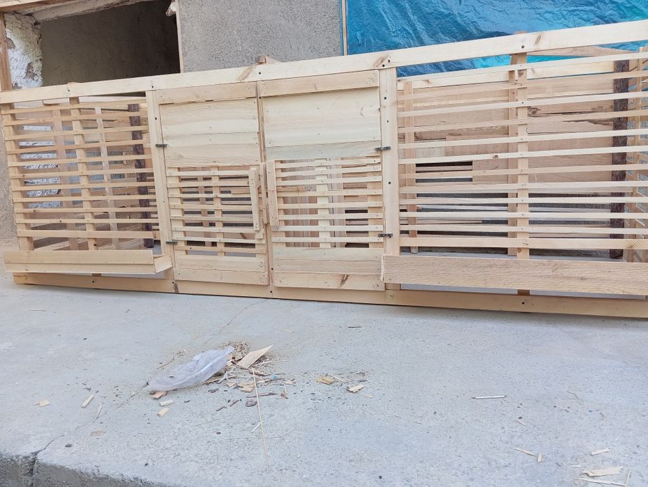 Katak sotiladi narxi 700 ming