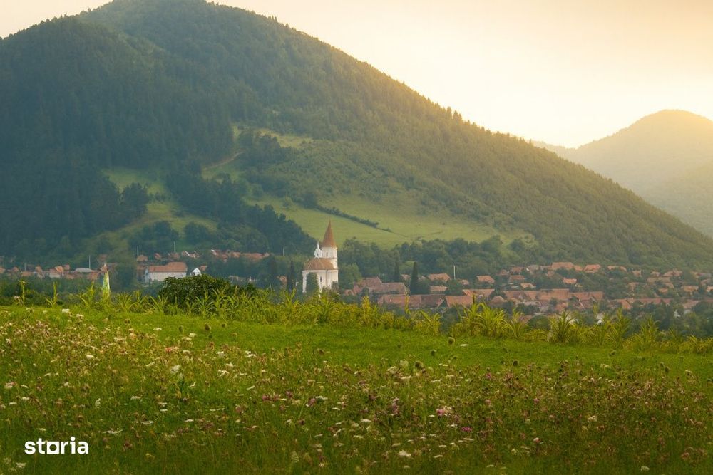 Teren extravilan cu priveliste minunata 3000mp in Rasinari