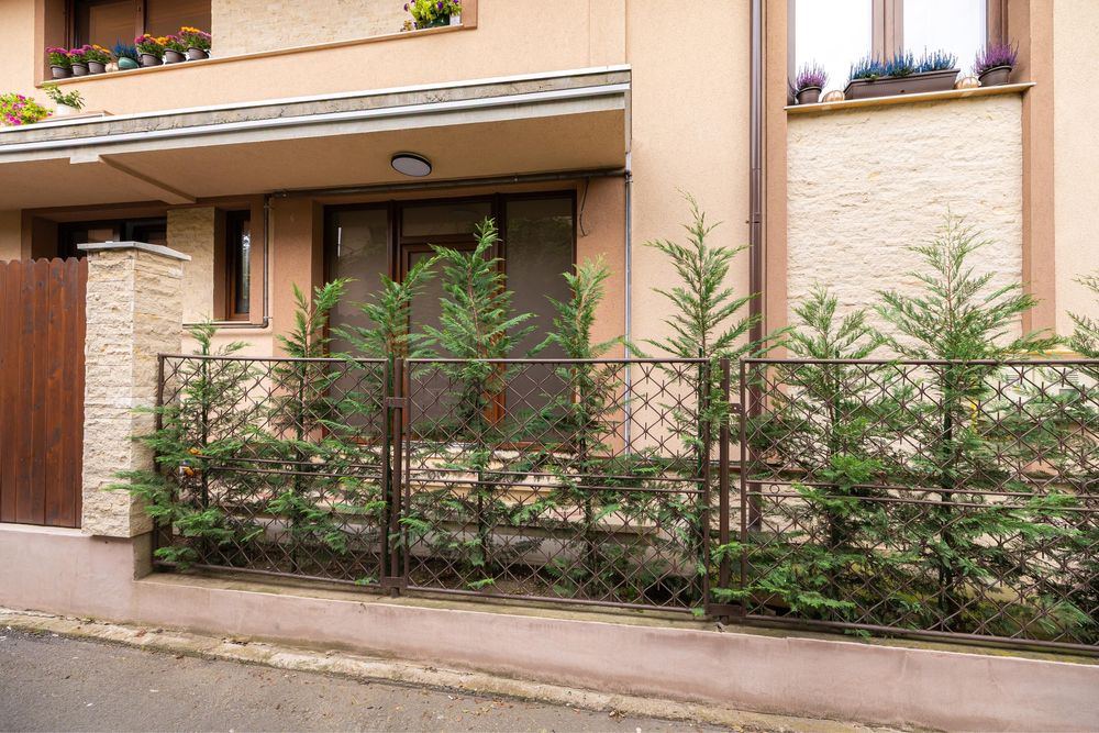 Spațiu comercial ultracentral de închiriat