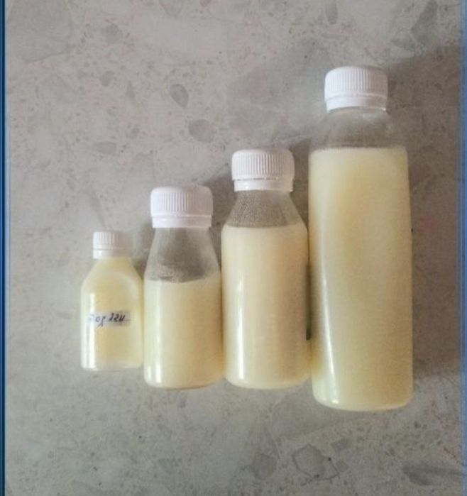 Ĝoz yoĝi (Toza Damashniy 100gr )