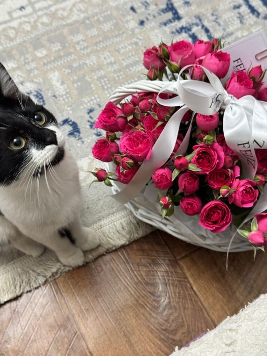 Отдам только в хорошие руки!