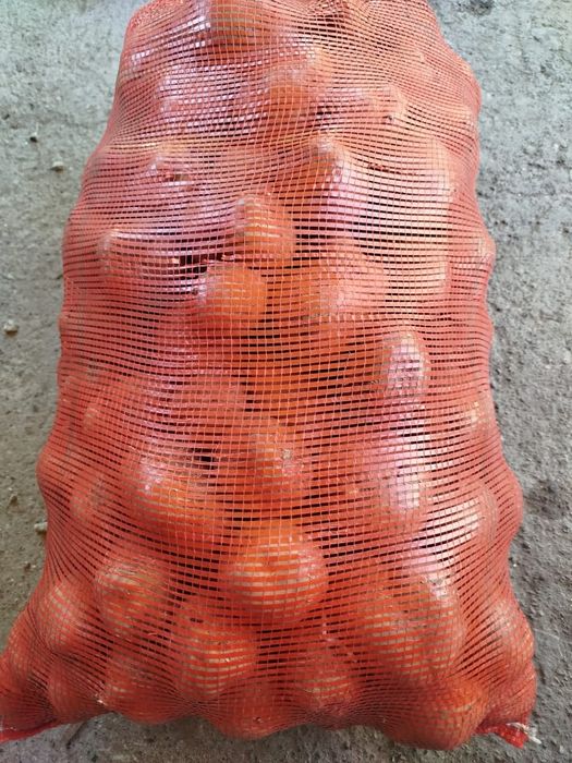 Продам картофель