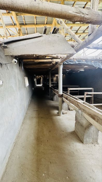 Ferma uchun tayor joy