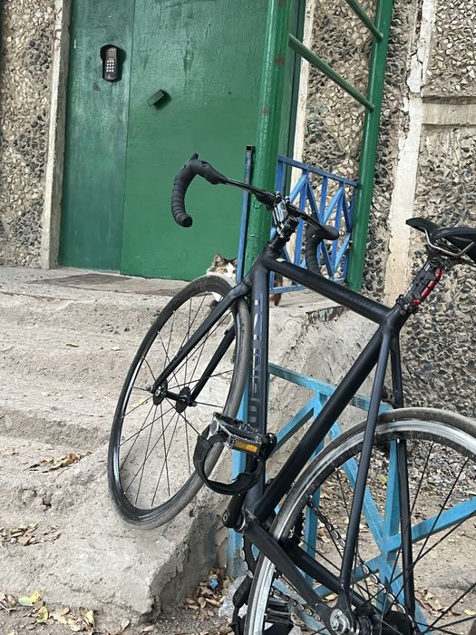 Тсунами снм 100 фикс