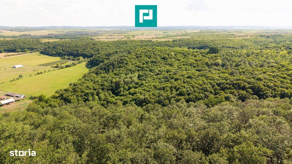 Teren Agricol Extravilan  22.900 Mp Lipova