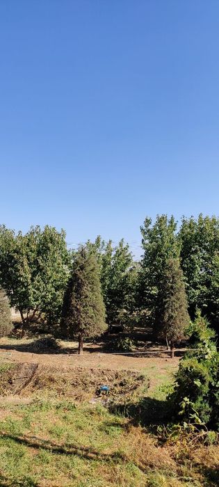 Срочно продам дом коробка