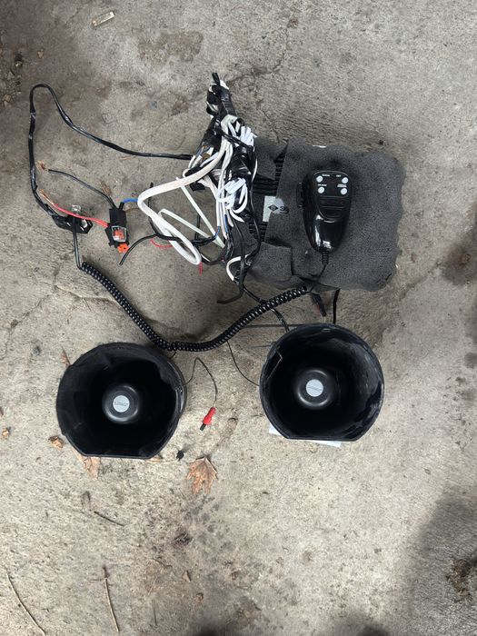 Serena elena smerch arginal