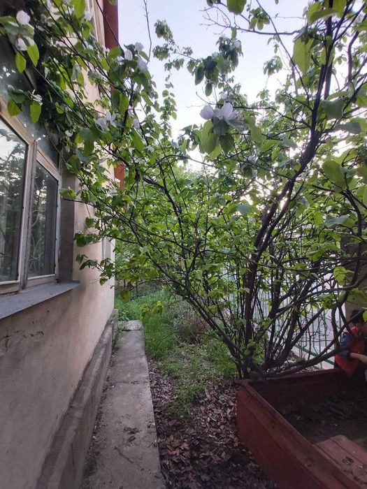 Участок с домом в аренду под цех склад возле парка Янги Узбекистан