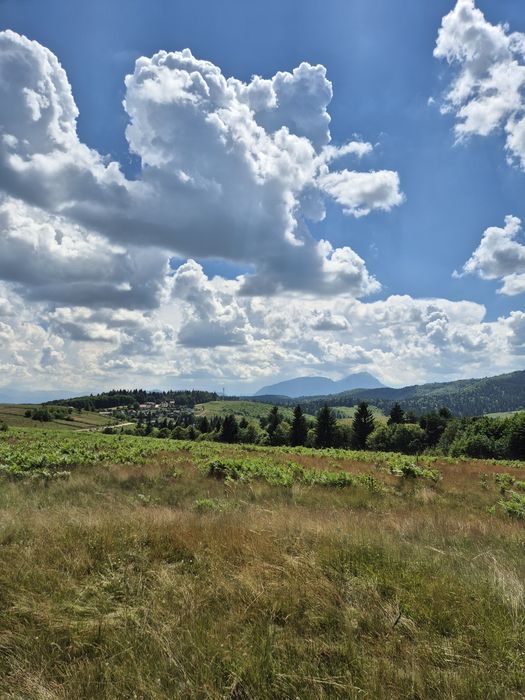 Teren Superb de Vânzare în Holbav, Jud. Brașov - 3546 mp, PUZ în Lucru