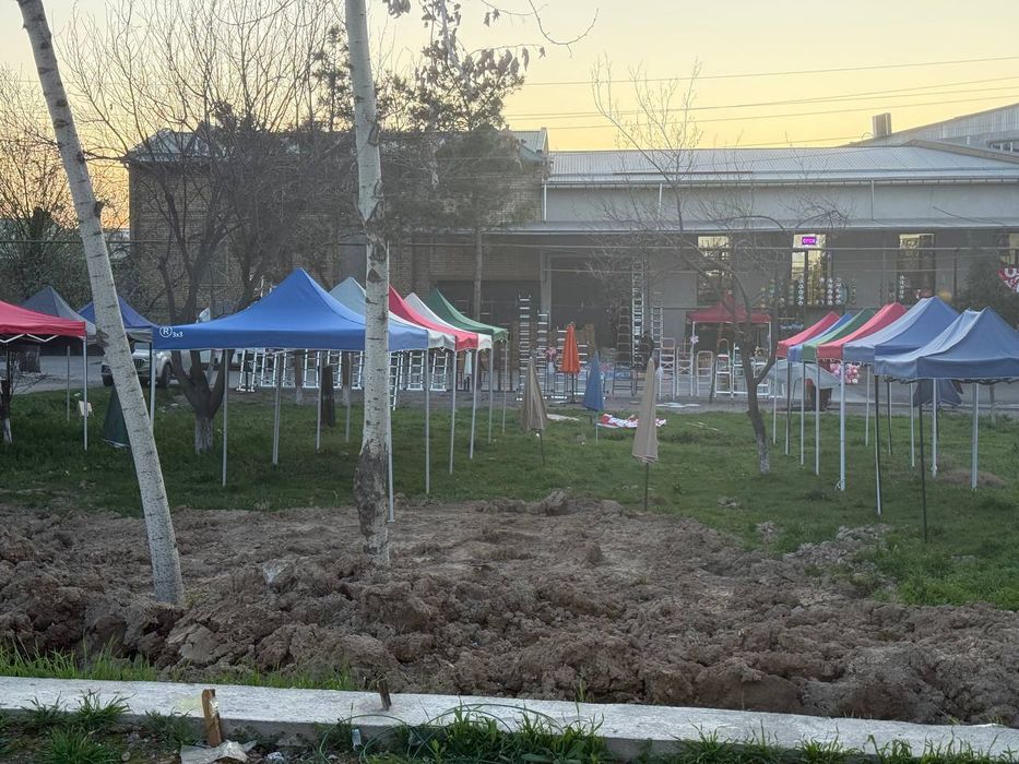 Navis ZONTIK arinda Toshkent  viloyati Toshkent shahari