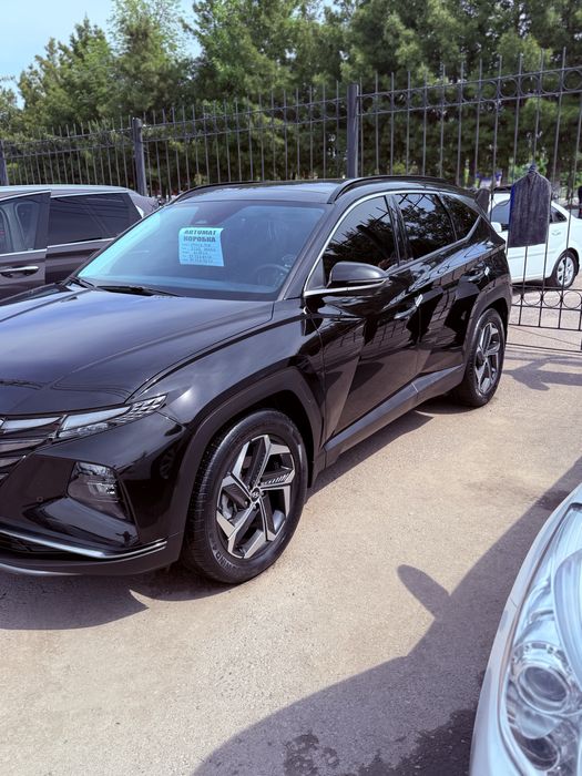 Other Tucson 2022 — 3