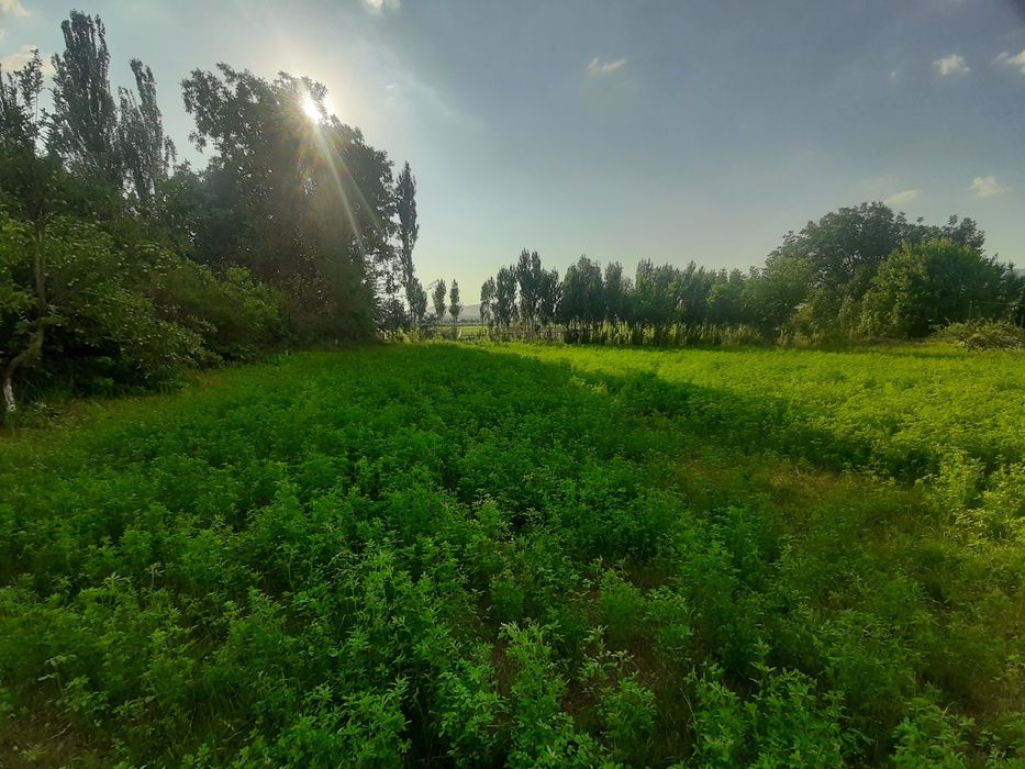 Участка сотилади   6 сотух қуруқ жой дача қурушка қулай жой