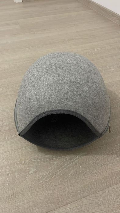 Patut pisici albastru