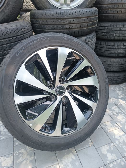Byd chempion zapaska