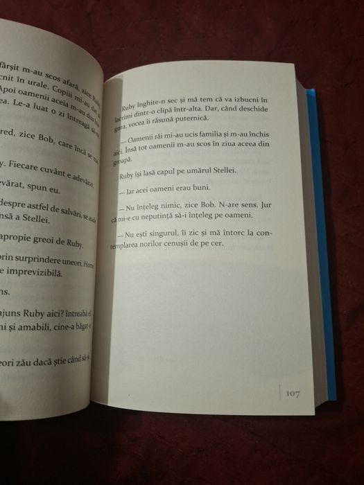 Cartea " Ivan cel fără de seamăn"