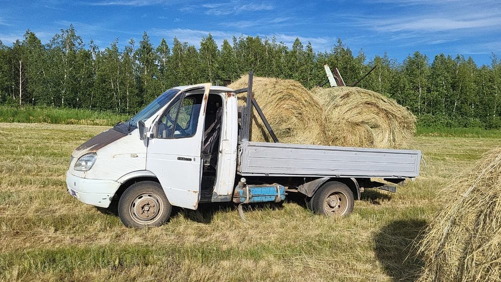 Сено в рулонах разнотравье