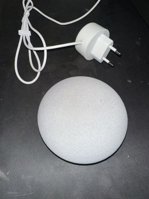 Google Nest Mini