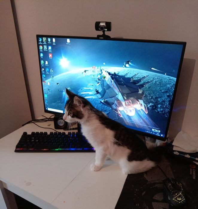 Отдам хорошие Рукин