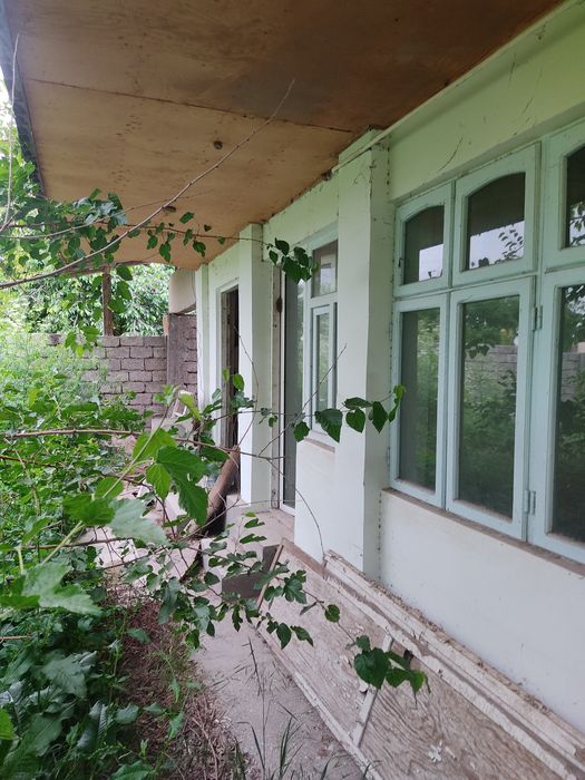 Bardamkol qaytmasta 24 sotik yer