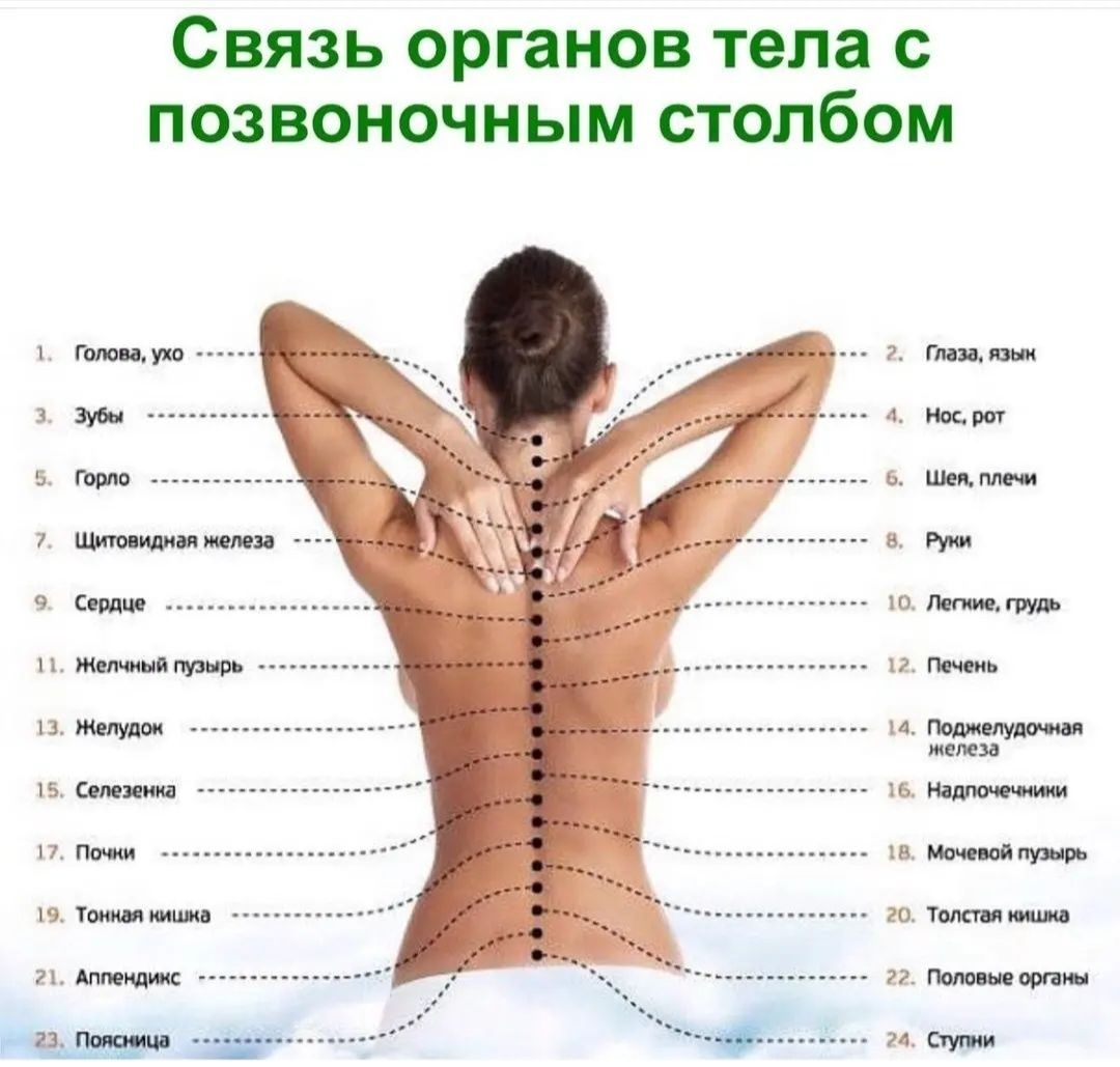 Правосторонний сколиоз позвоночника: признаки, степени и лечение