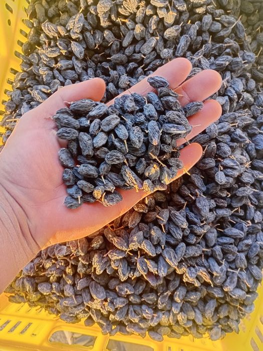 Изюм оптом! Мытый, отсортированный.Экспортно качество!