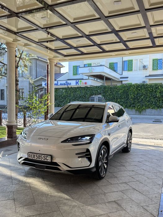 Byd chempion smart 605