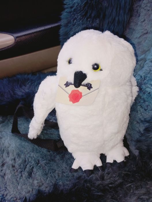 Сова Букля Гарри Поттер