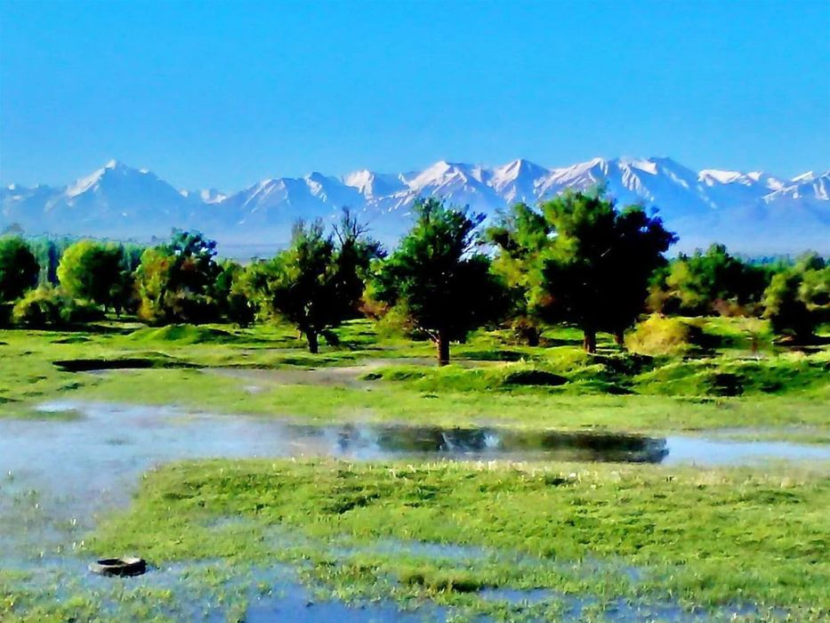 Прод-ся: Земли вдоль дороги