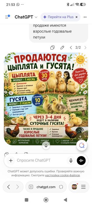 Цыплята и гусята в продаже