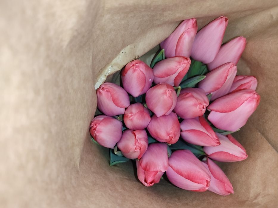 Тюльпаны  Алматы