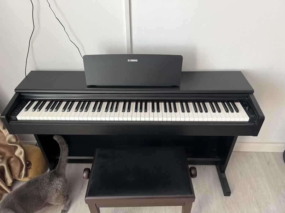 Pian Digital Yamaha Arius YDP-144B