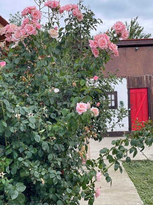 Продава се Къща в с. Брестница, Област Ловеч - 168 кв.м за 429 €/кв.м - Снимка #9