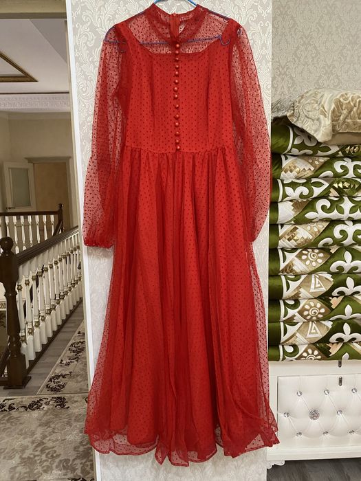 4900 тг койлектер