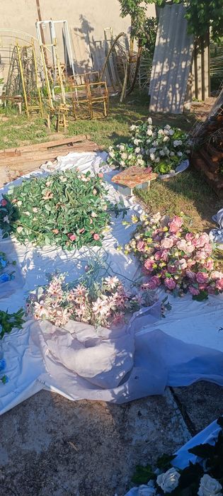 Хитой суний гуллари