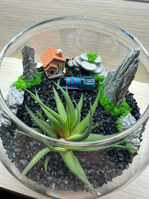 Флорариум, минисадик, подарки любимым