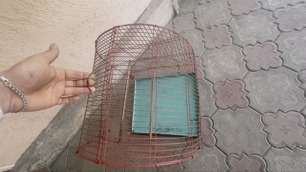 Клетка для птиц большая!