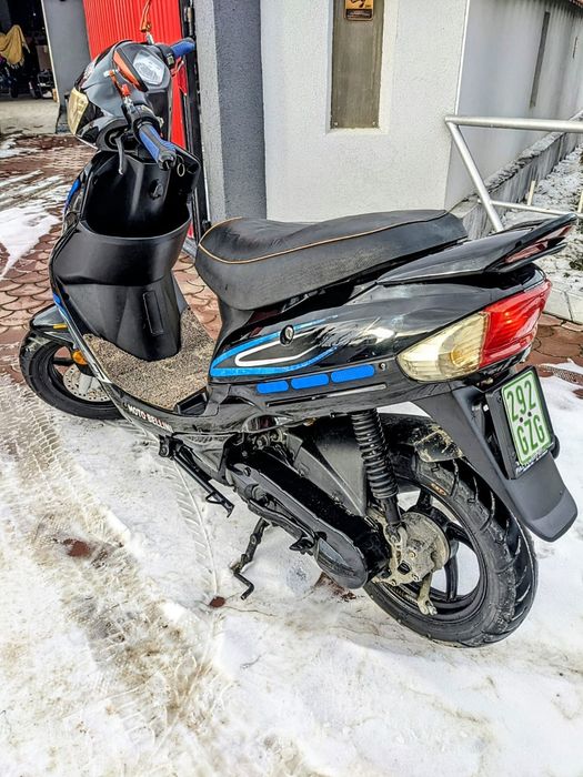 Scuter  bellini 49cm