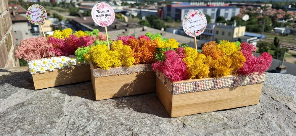 Кашпа със скандинавски мъх