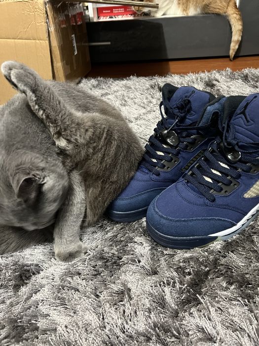 Jordan 5 Midnight blue
