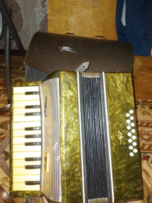 Гармонь музыкальный инструмент