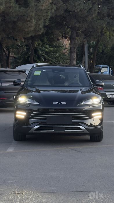 BYD Champion hybrid