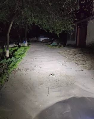 Set Becuri Led H4 cu LUPA 1" Canbus 120w 24.000 Lumeni 6000k CanBus