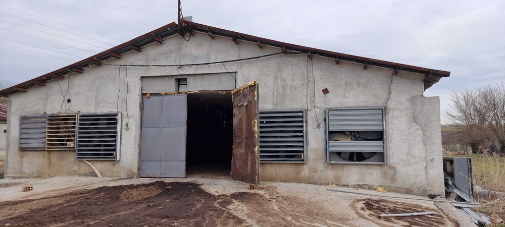 Продава се Промишлена сграда в с. Ушинци, Област Разград - 1620 кв.м за 189 €/кв.м - Снимка #8