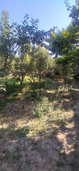 М. Фозилов ж/х, Мехнатда 14 сотих уй сотилади !!!