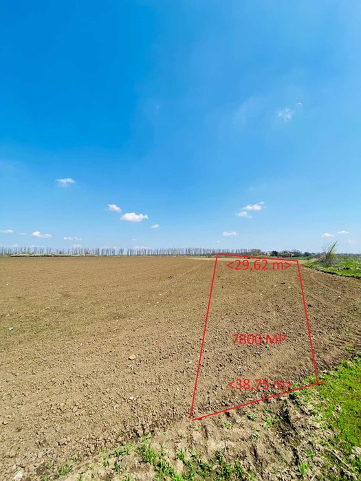 Vand teren extravilan 7800 mp in sat Lipia, com. Gruiu, jud. IF