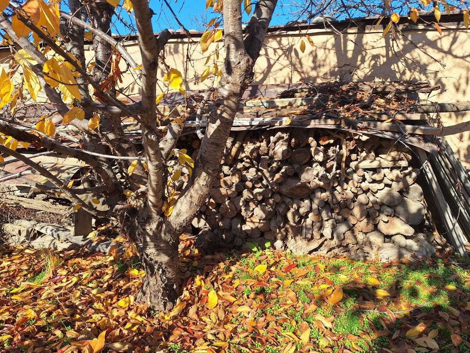 Бир мошина ўтин сотилади