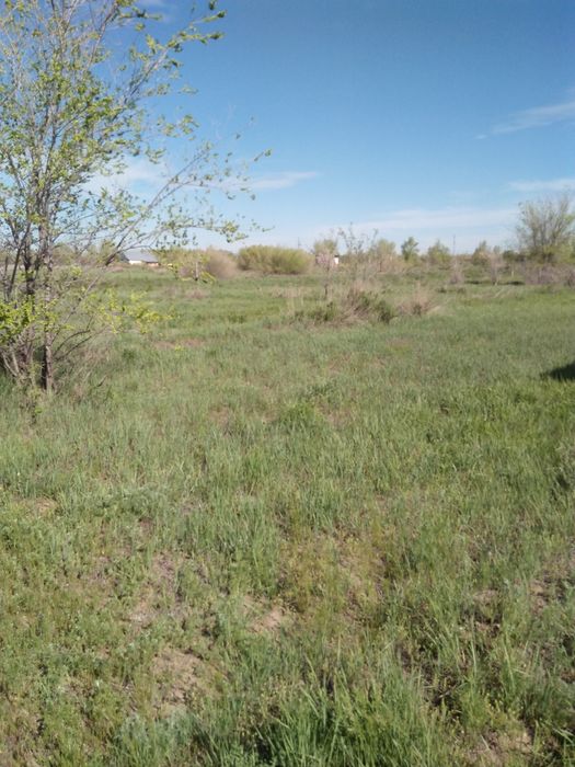 Дачный участок в коллективе ВАСЮКИ