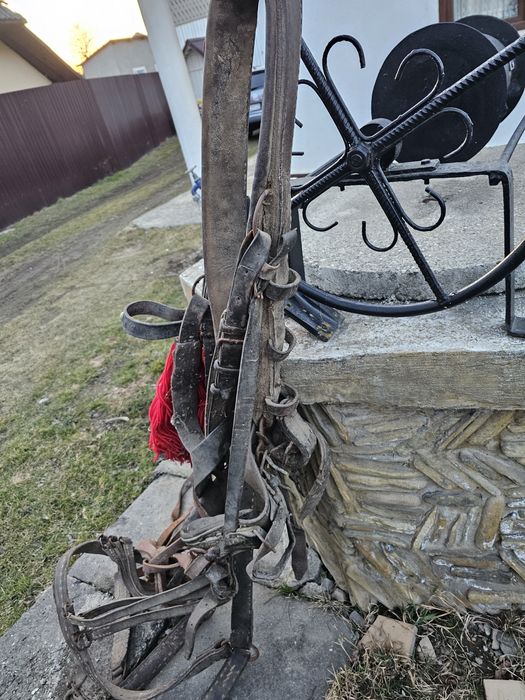 Ham , căpăstru si hățuri