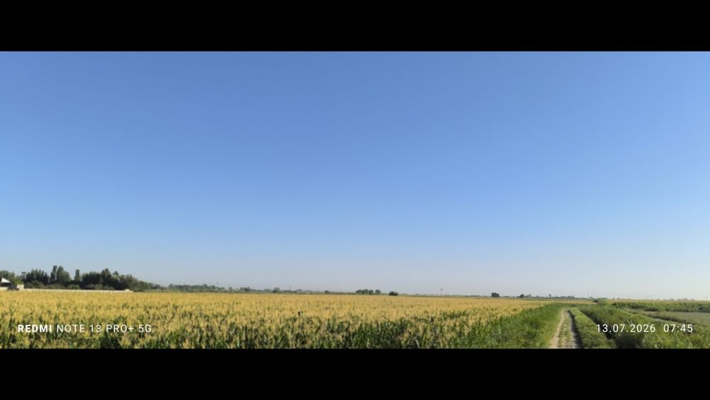 Chorva mollari uchun sifatli don siloslari.Dastafka xizmatlari mavjud.